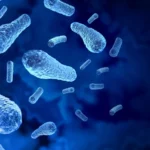 Botulisme alimentaire et botulisme par blessure, quelle est la différence ?