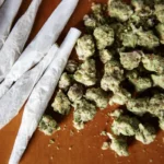 La consommation de marijuana pendant la grossesse nuit gravement au fœtus dans l’utérus selon une étude récente