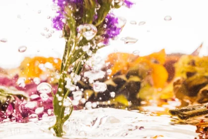 Les eaux florales réveillent votre vitalité printanière