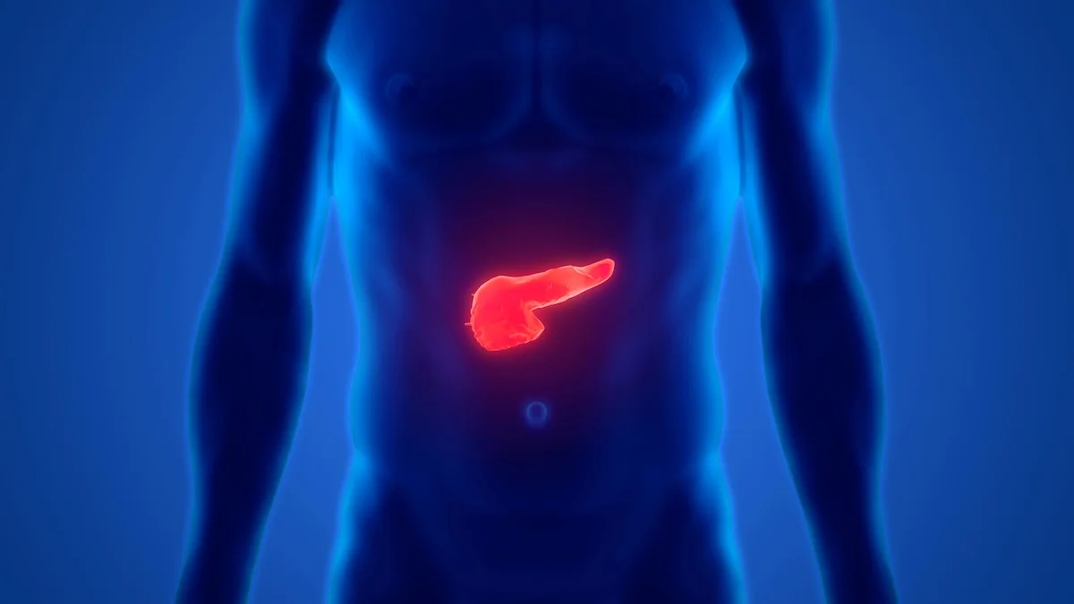 Un vaccin contre le cancer du pancréas ouvre une nouvelle ère de traitement